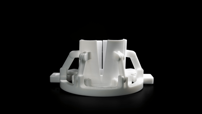 eos_expanding_flap_PA2200_FORMIGAP110.gif